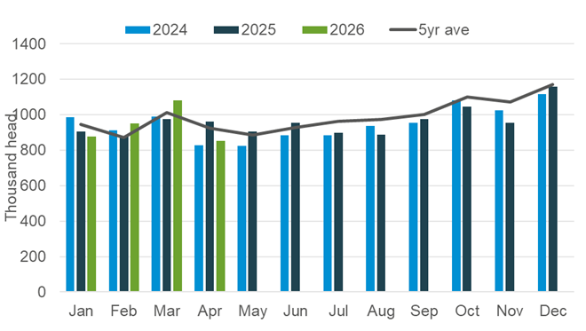 clean sheep slaughter graph